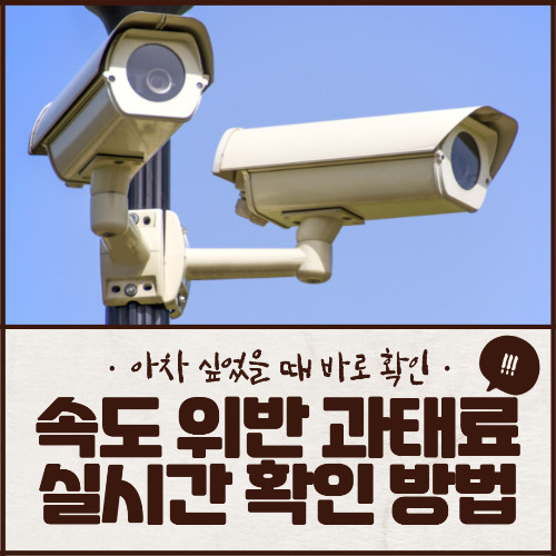 신호 속도 위반 과태료 실시간 확인 방법