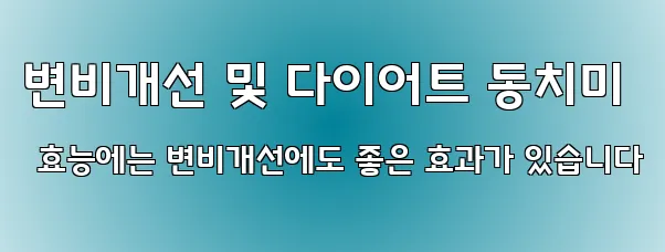 변비개선 및 다이어트 동치미 효능에는 변비개선에도 좋은 효과가 있습니다