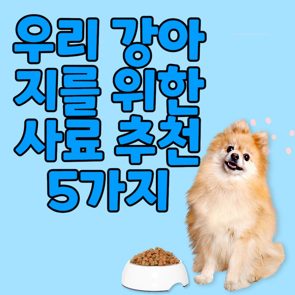 우리 강아지를 위한 사료 추천