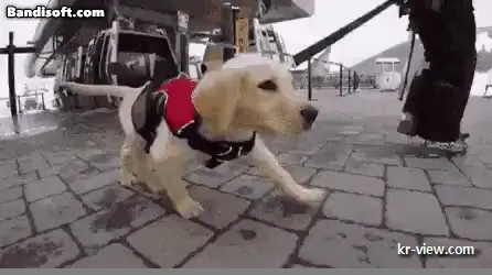 img.webp?credential=yqXZFxpELC7KVnFOS48ylbz2pIh7yKj8&expires=1767193199&allow_ip=&allow_referer=&signature=Ju9g8Ml17ktaOdJmG5JoDjeOtkc%3D