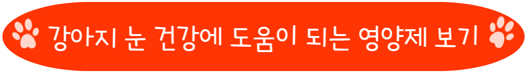 강아지 눈 건강에 도움이 되는 영양제