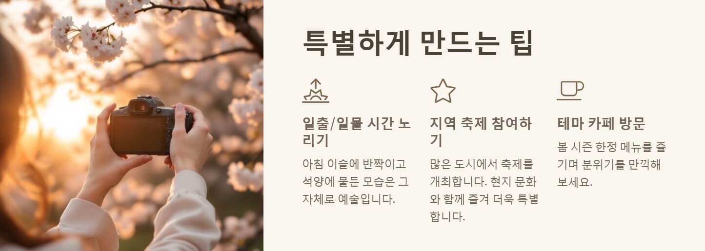 2025년 벚꽃 개화시기