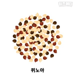 철분 많은 음식