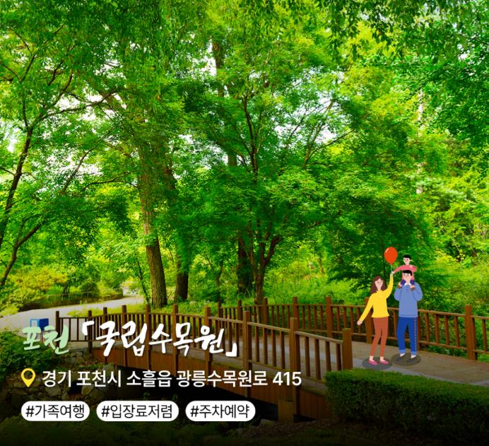 여름 더운 날씨에 가기 좋은 경기도 숲 [ BEST 3 ]