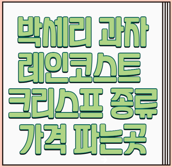 박세리-과자-레인코스트-크리스프-종류-가격-파는곳