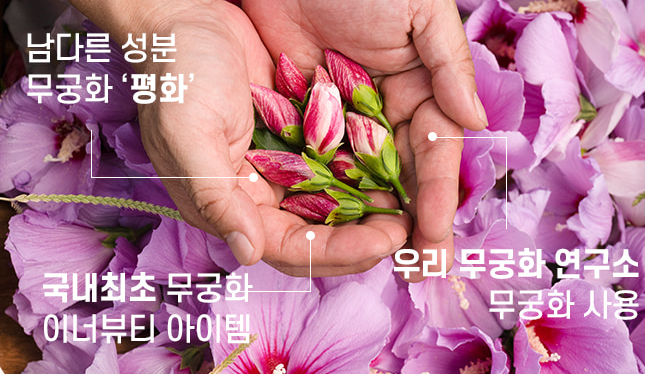 무궁화 다이어트, 무궁핏 효과 및 후기