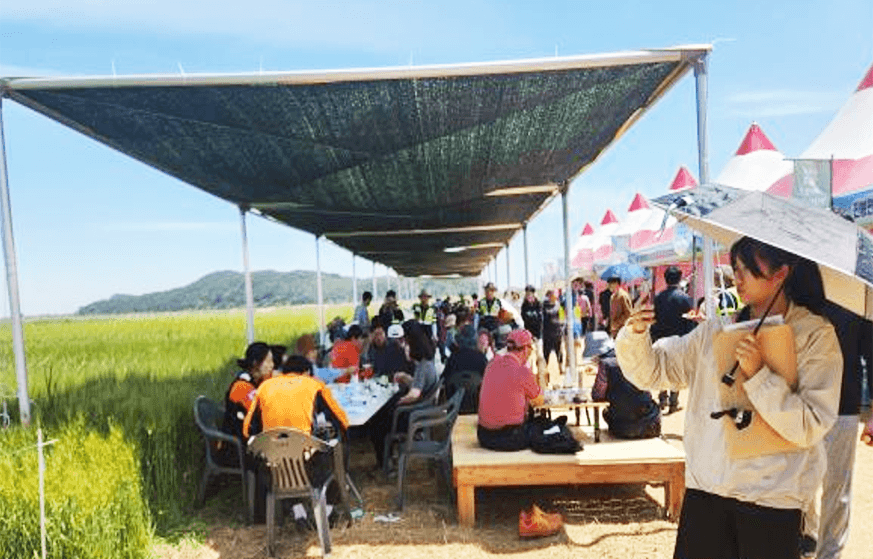 진봉새만금보리밭축제 2026 일정