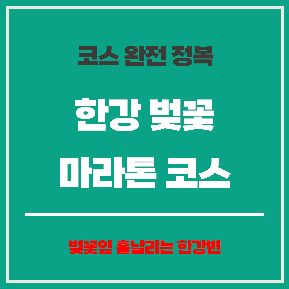 한강 벚꽃 마라톤 코스 완전 정복 마라톤 일정