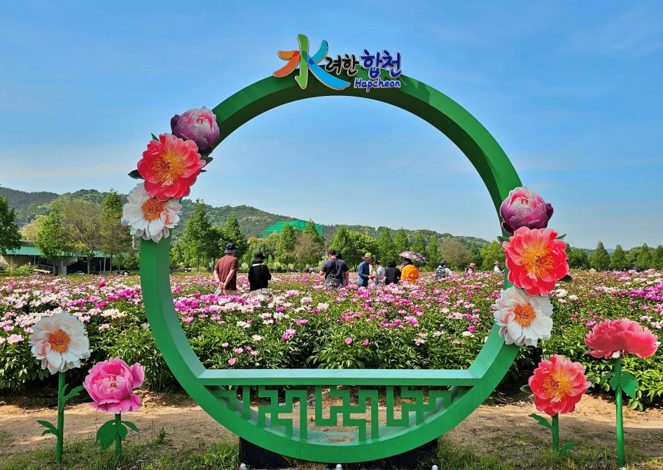 합천 핫들생태공원 작약