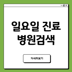 일요일 진료 병원검색 방법