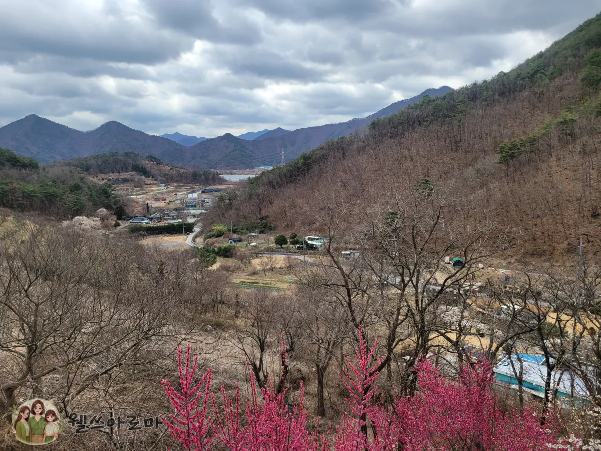 순매원근처카페-가마등-편안하게해주는뷰