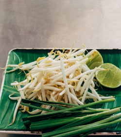 콩나물 효능 부작용 숙취 칼로리