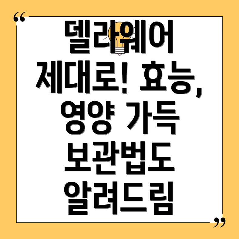 델라웨어