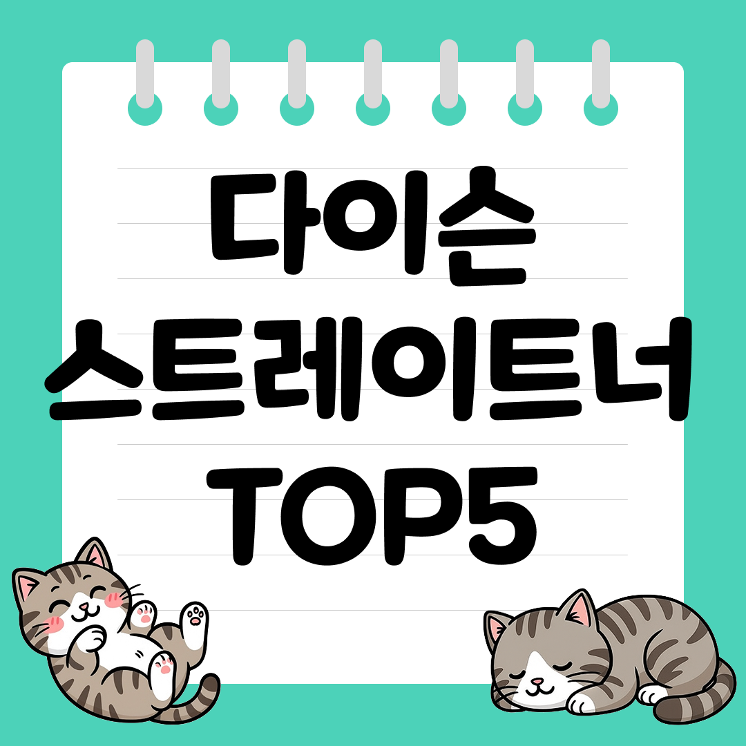 2025년 11월 2주차&nbsp;쿠팡 다이슨 스트레이트너 추천 순위 TOP5