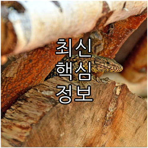 2025 광명시민 안전망 보장 내용과..