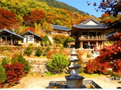 단풍여행 1박2일 버스 단풍구경