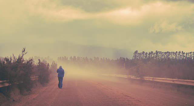 미세먼지 해독에 도움이 되는 천연 영양소, 스피루리나의 과학적 효능
