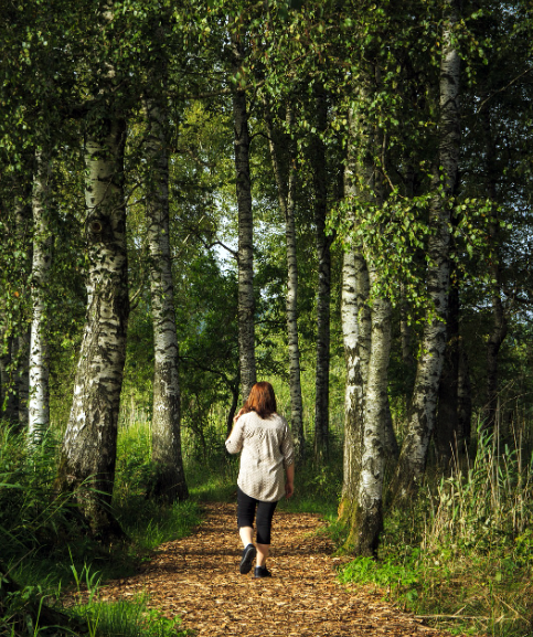 혼자 숲길 산책하는 사진