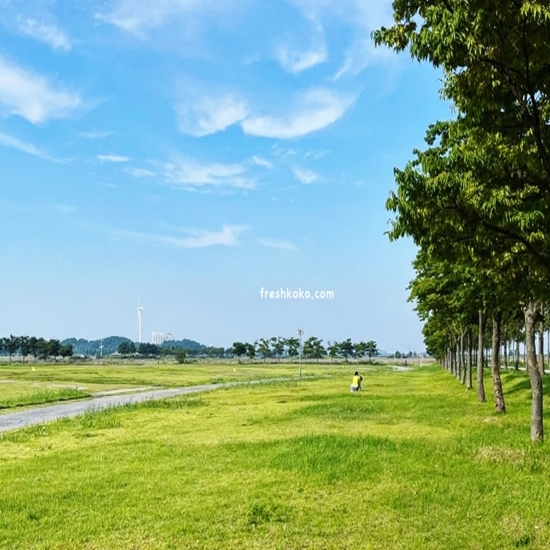 대부도 가볼만한곳 베스트10