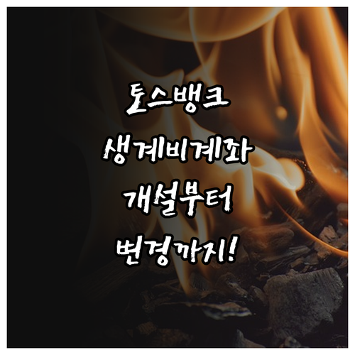 토스뱅크 생계비계좌 총정리 및 비대면..