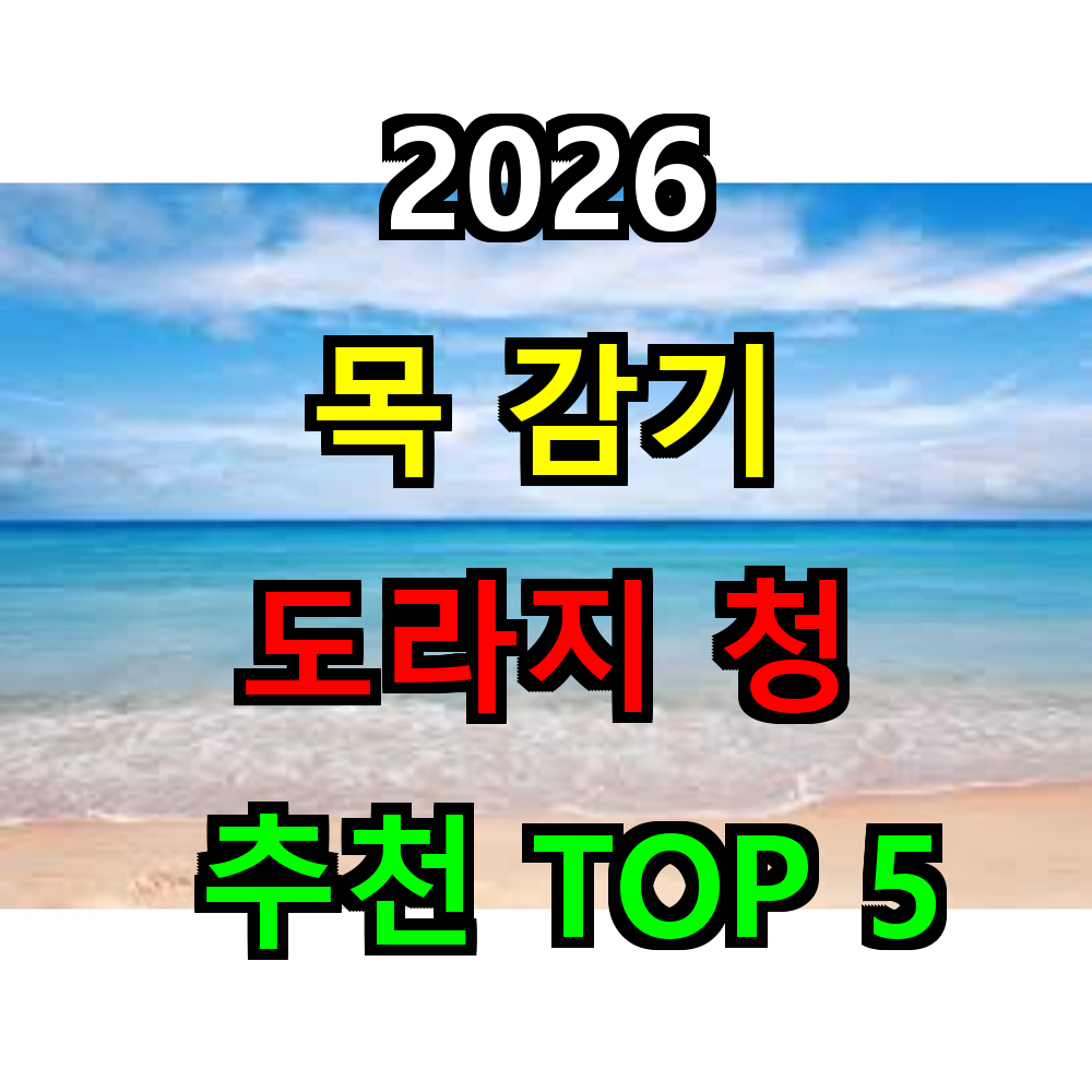 2026 목 감기 도라지청 추천 TOP 5