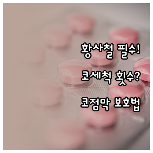 황사철 코점막 관리법 및 올바른 코세..