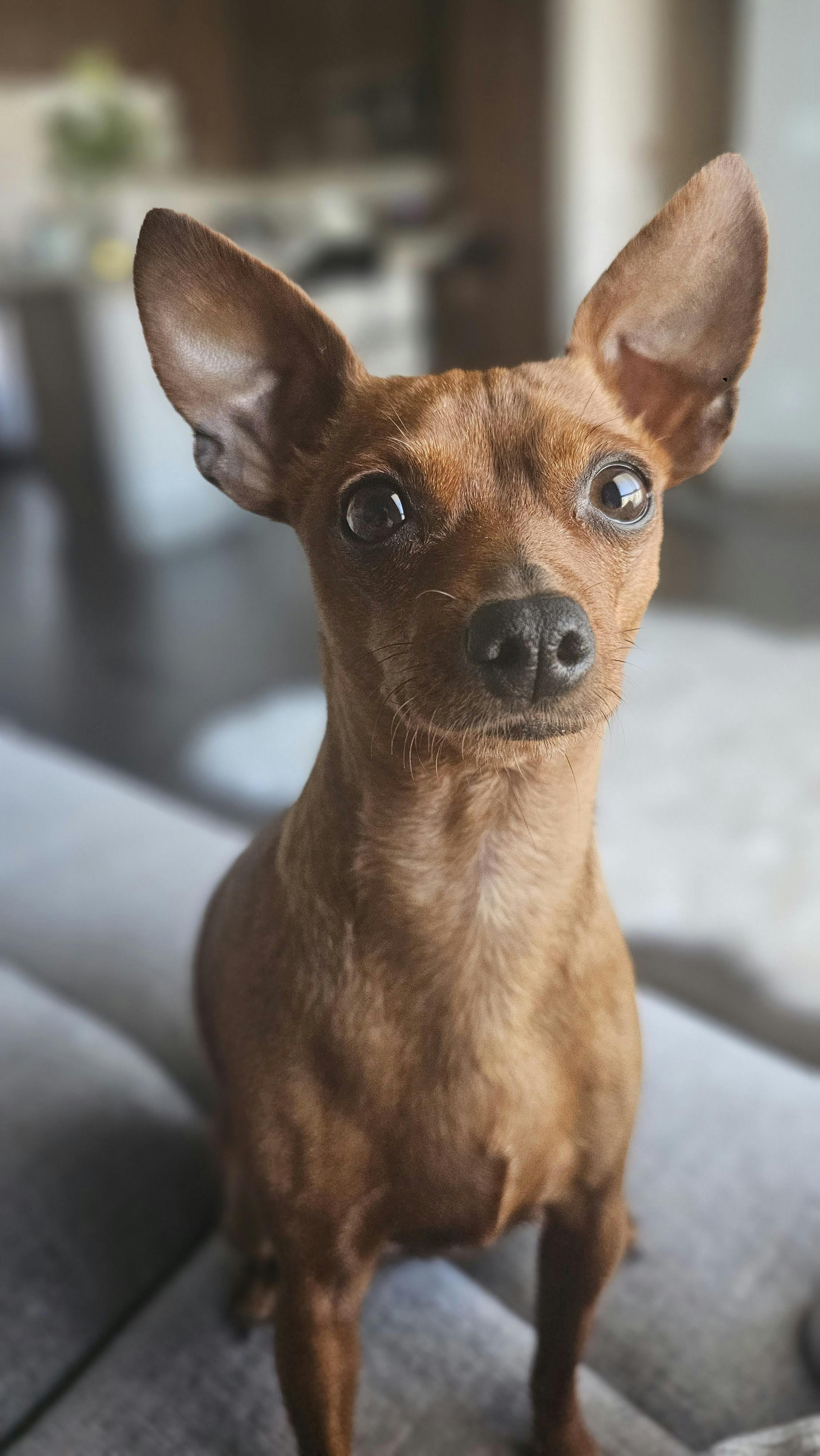 임성훈 프로필 나이 아들