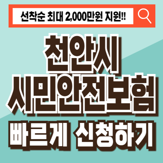 천안시민안전보험