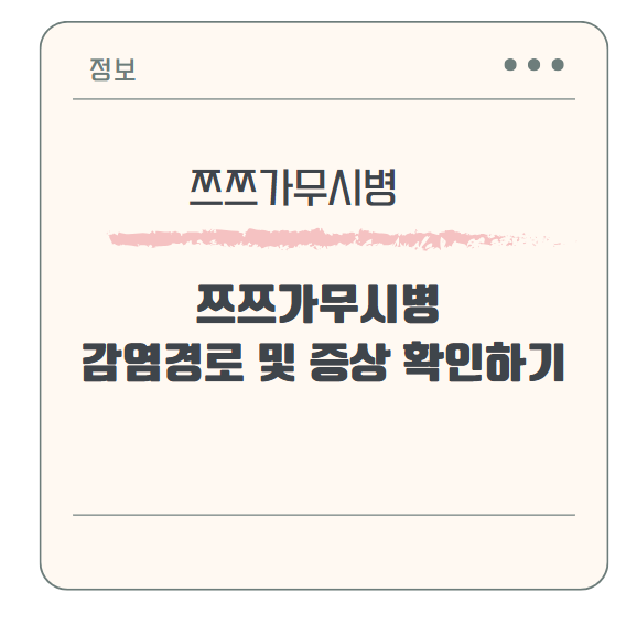 쯔쯔가무시병 감염경로와 대표적 증상 확인하기