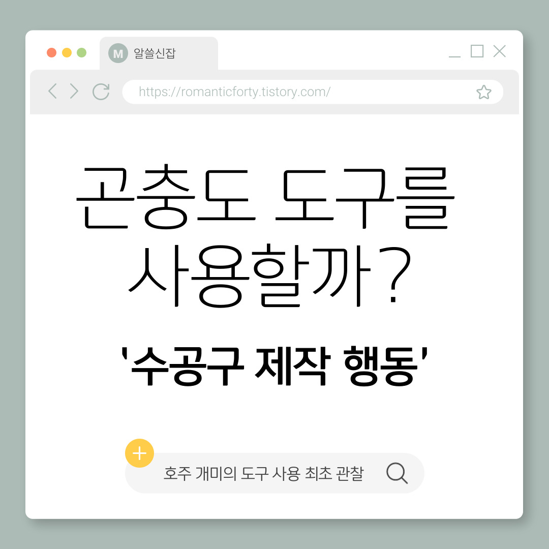 수공구 제작 행동