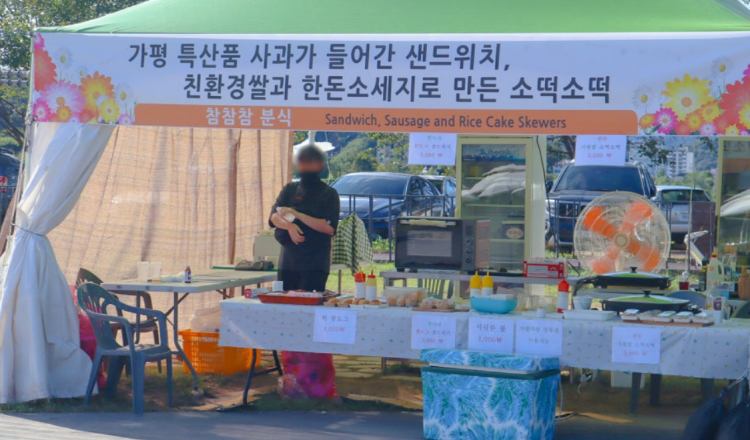 자라섬 꽃 페스타