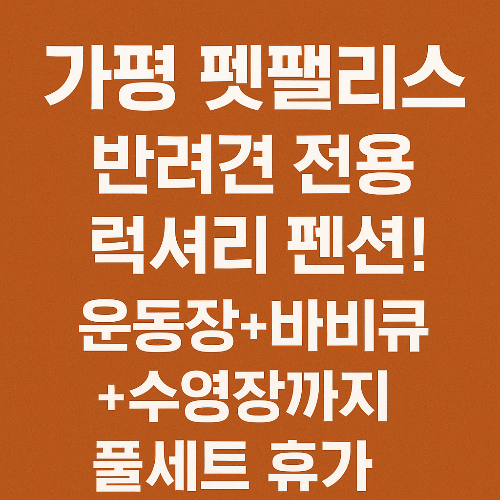 가평 펫팰리스, 반려견 전용 럭셔리 펜션! 운동장+바비큐+수영장까지 풀세트 휴가