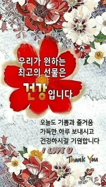 아침 인사 문자 날씨 변화에 맞춘 안부 문장 하루를 여는 표현_28