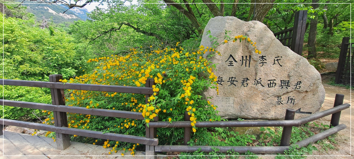 전주-이씨-해안군파-서흥군-묘소-표지석