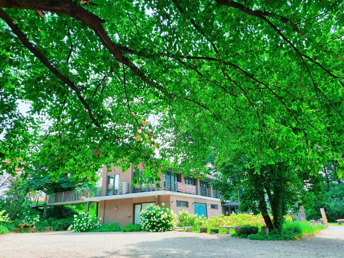 충남 당진 평양냉면 맛집 미당면옥, 블루리본 정원 카페 피어라: 아미미술관 근처 맛집