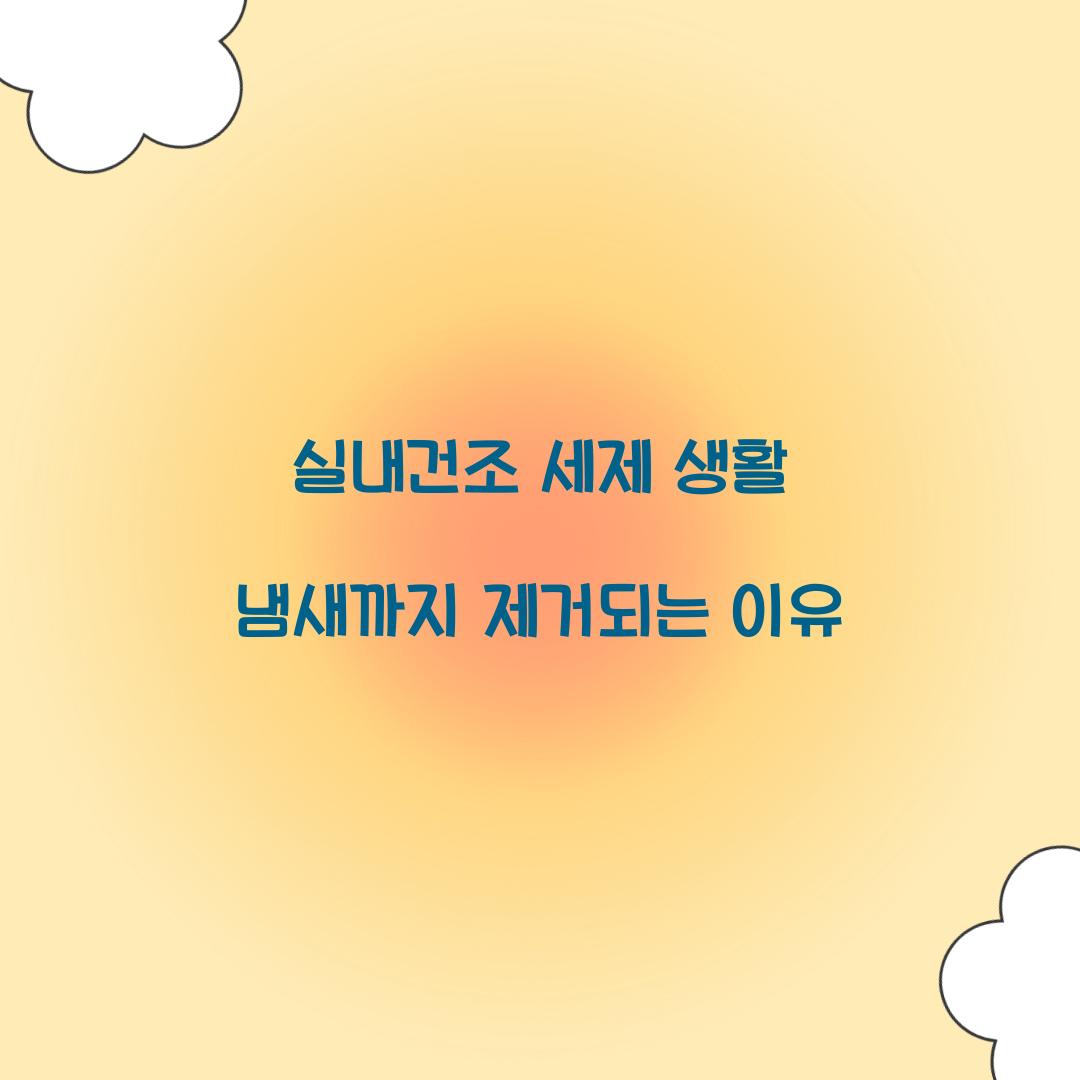 실내건조 세제 생활 냄새까지 제거되는 이유 