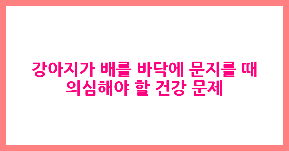 강아지가 배를 바닥에 문지를 때 의심해야 할 건강 문제