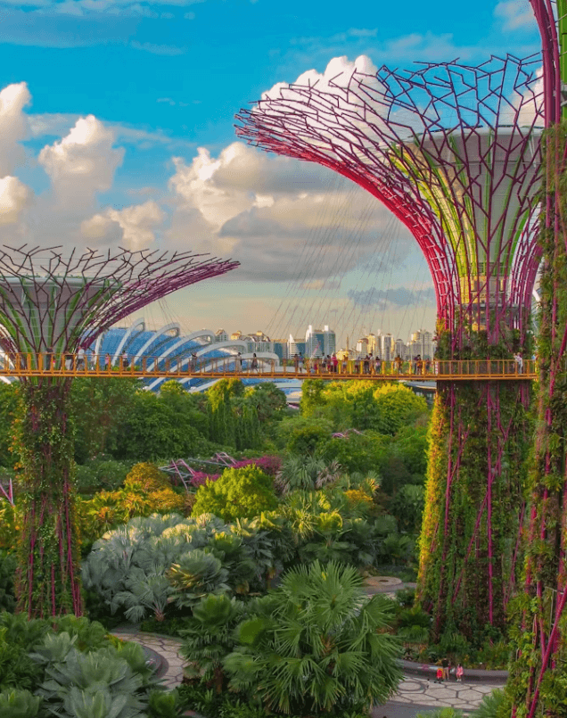 싱가포르 여행 완벽 가이드: 핵심 지역과 숨은 명소