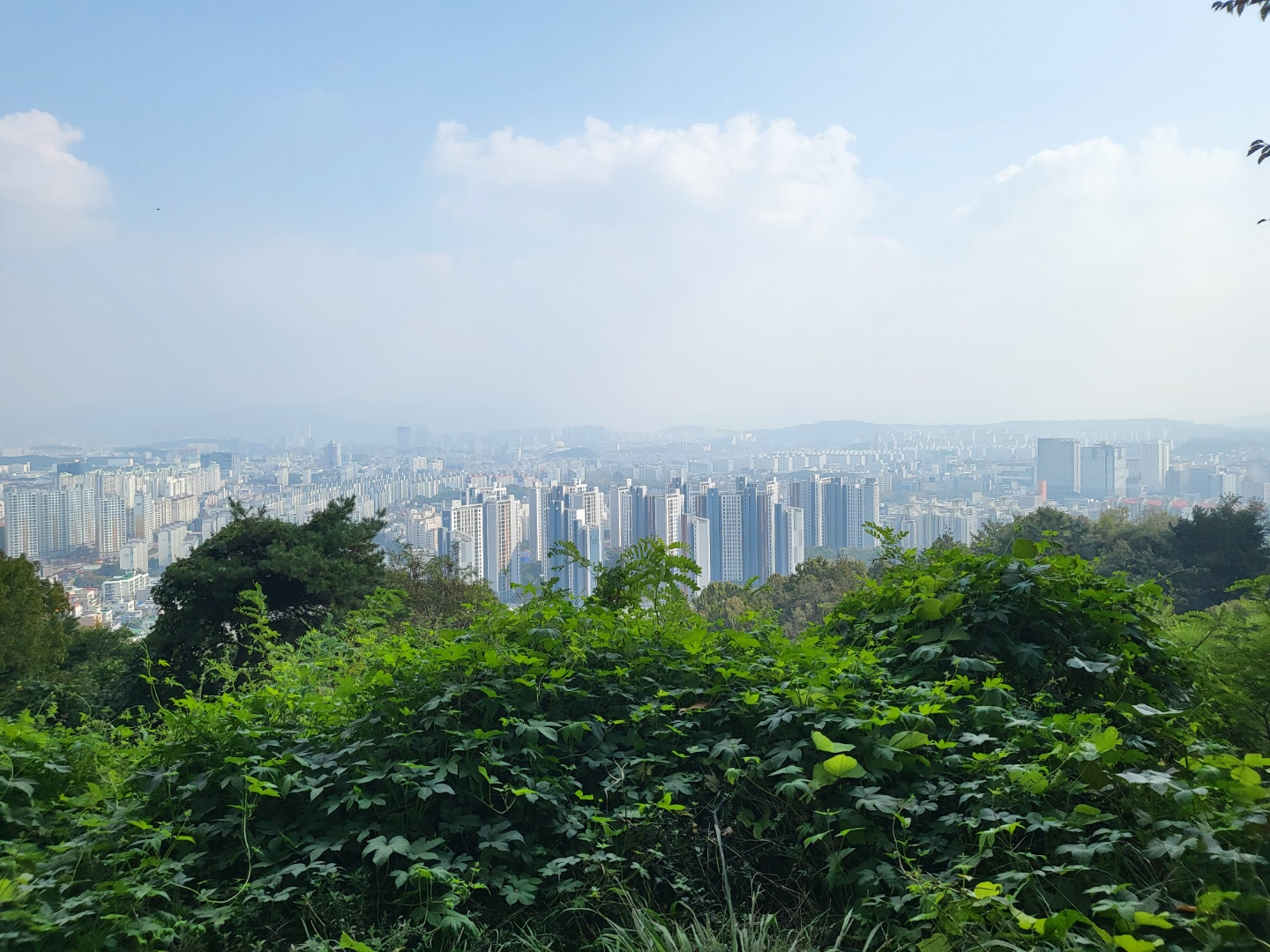 청주 부모산 연화사