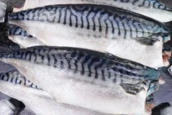 고등어 굽는 방법 비린내 잡기 레시피_21