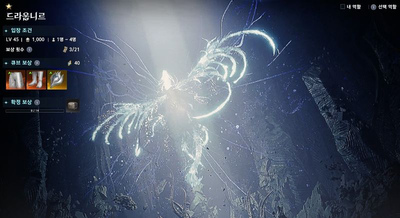 아이온2 드라웁니르