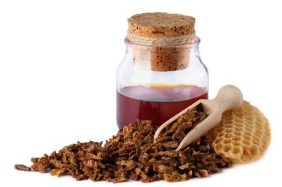 프로폴리스 효능, 부작용, 복용법 총정리 (2024ver)