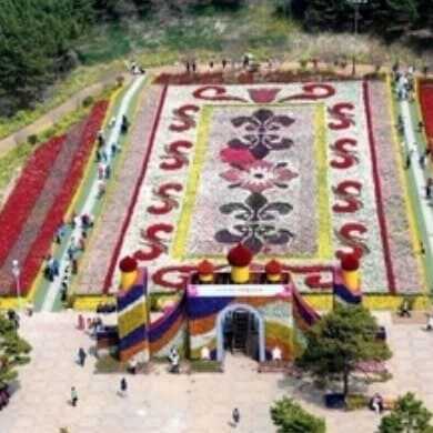 태안 세계 튤립 꽃 박람회