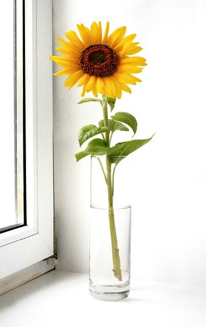 미니멀리즘 인테리어로 원룸의 삶의 질을 높이는 법