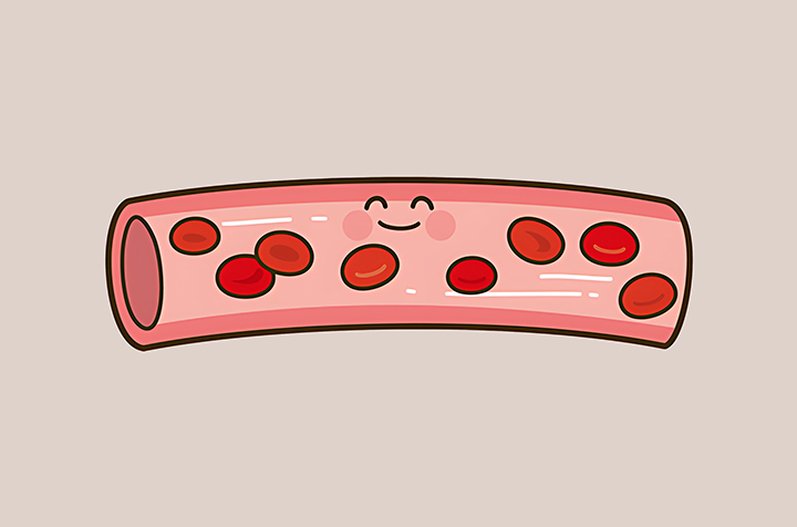원활한-심혈관의-모습
