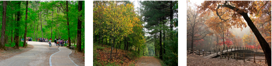 수목원 계절별 사진