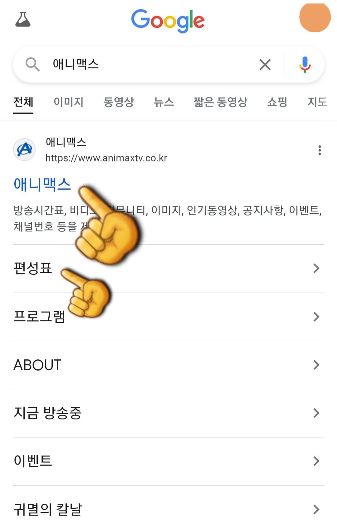 애니맥스-편성표-바로가기-가장-상단에-있는-애니맥스-홈페이지-클릭하기