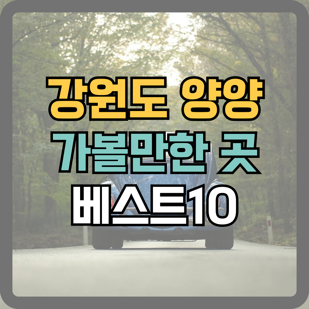 강원도 양양