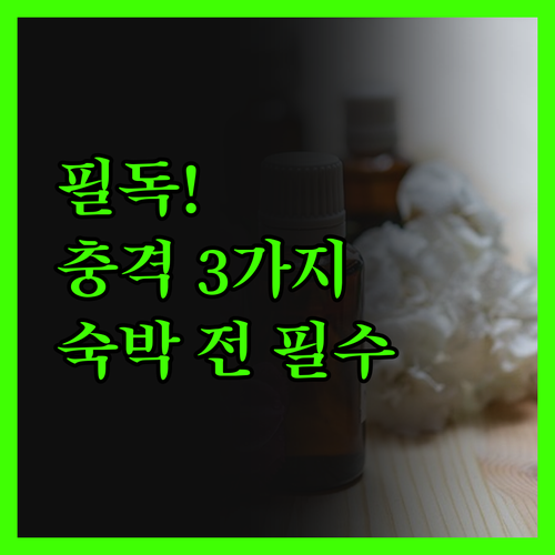 멜리아 빈펄 하이퐁 리베라 숙박 전