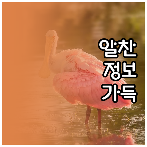 2025년 가상자산 과세 시작 투자자..